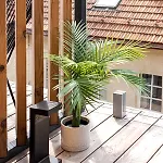 Paupys By Reside Baltic Apartman Vilnius